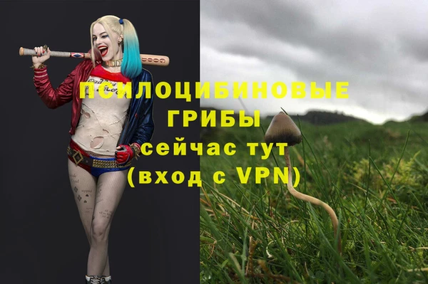 соль курить ск Арсеньев